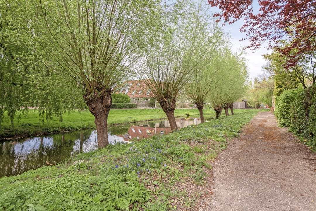 Foto 46 van Olympiaweg 8