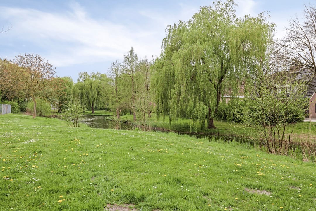 Foto 47 van Olympiaweg 8