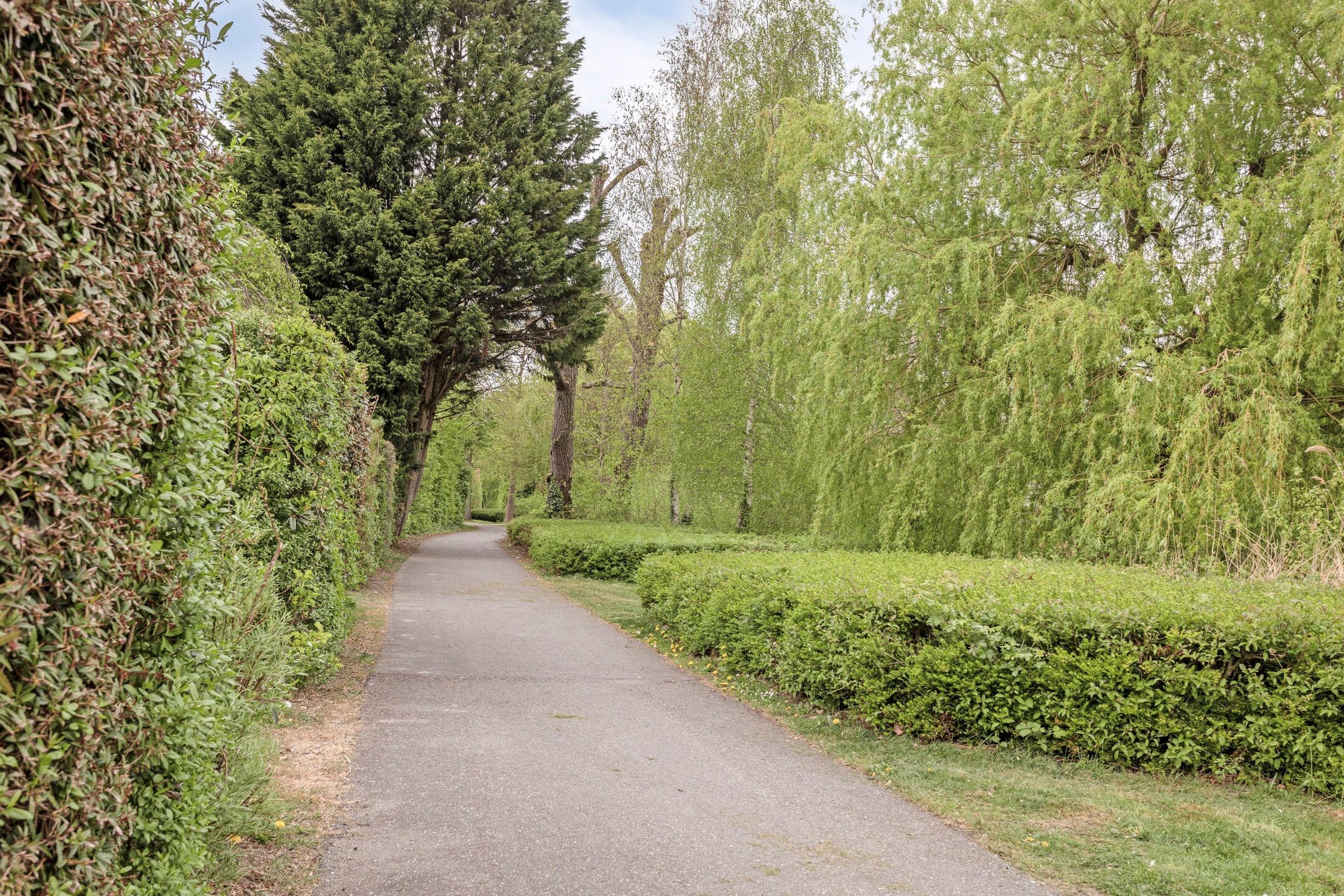 Foto 48 van Olympiaweg 8