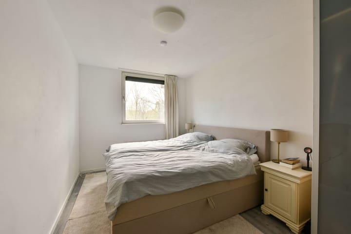 Photo 11 of Weegbree 95