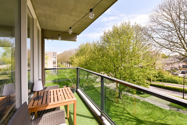 Photo 14 of Weegbree 95