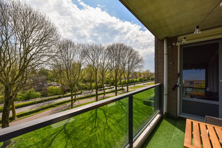 Photo 15 of Weegbree 95