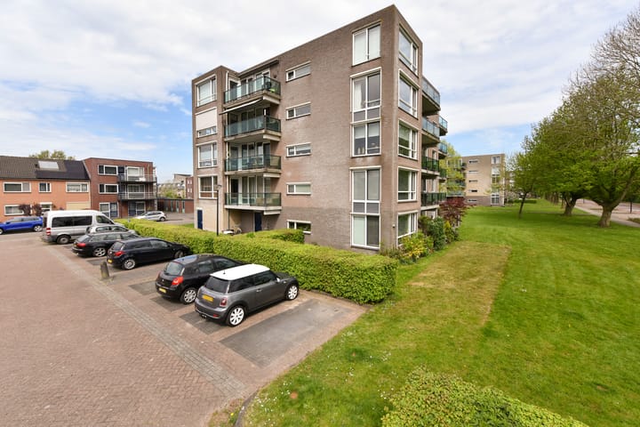 Photo 19 of Weegbree 95