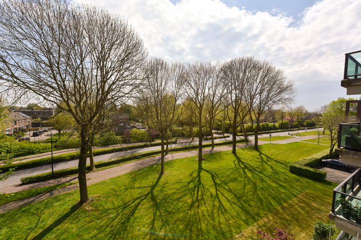 Photo 21 of Weegbree 95