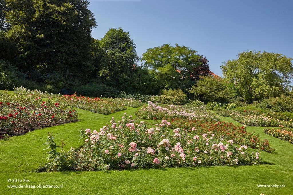 Foto 35 van Riouwstraat 96-A