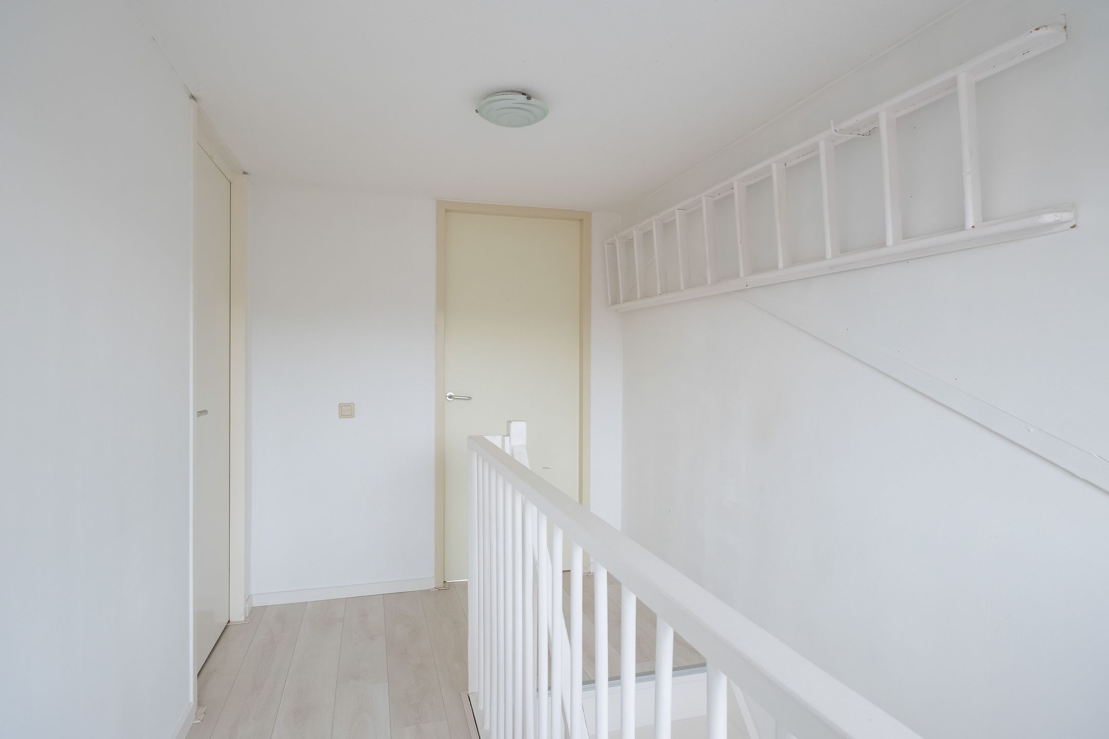 Photo 24 of Helmkruid 7