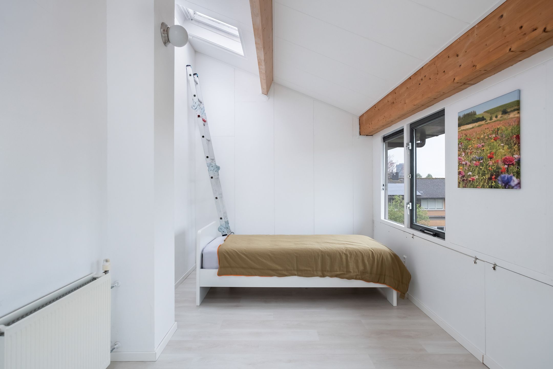 Photo 27 of Helmkruid 7