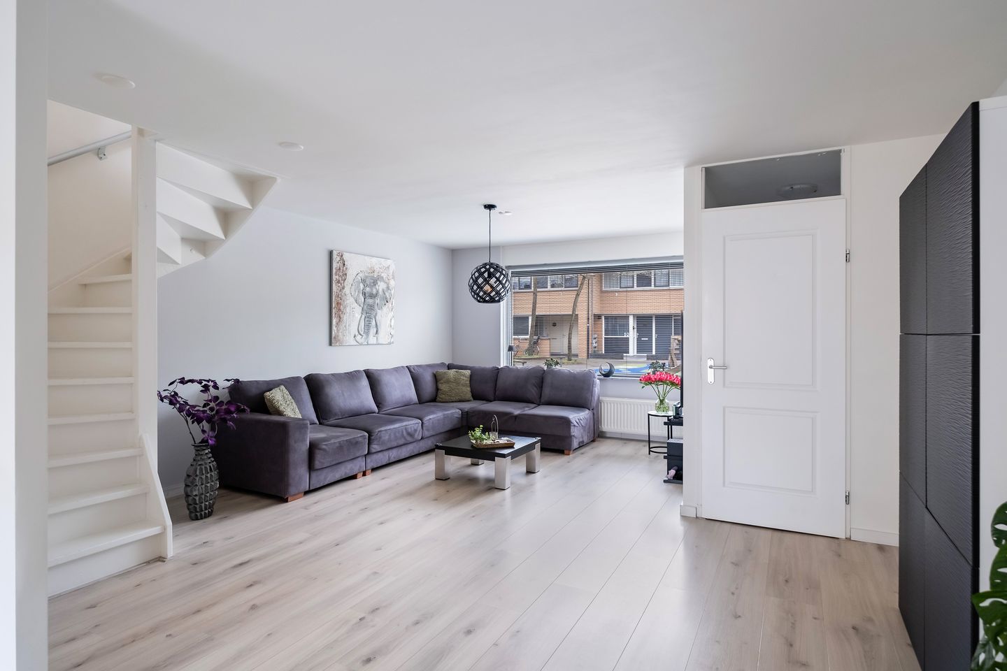 Photo 5 of Helmkruid 7