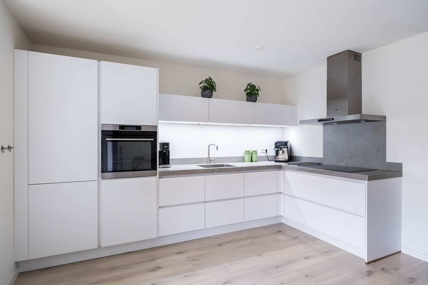 Photo 10 of Helmkruid 7