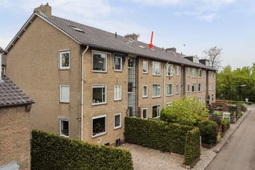 Pieter de Hooghlaan thumbnail