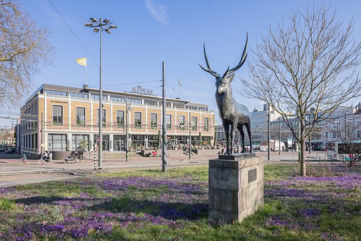 Foto 35 van St. Peterlaan 40