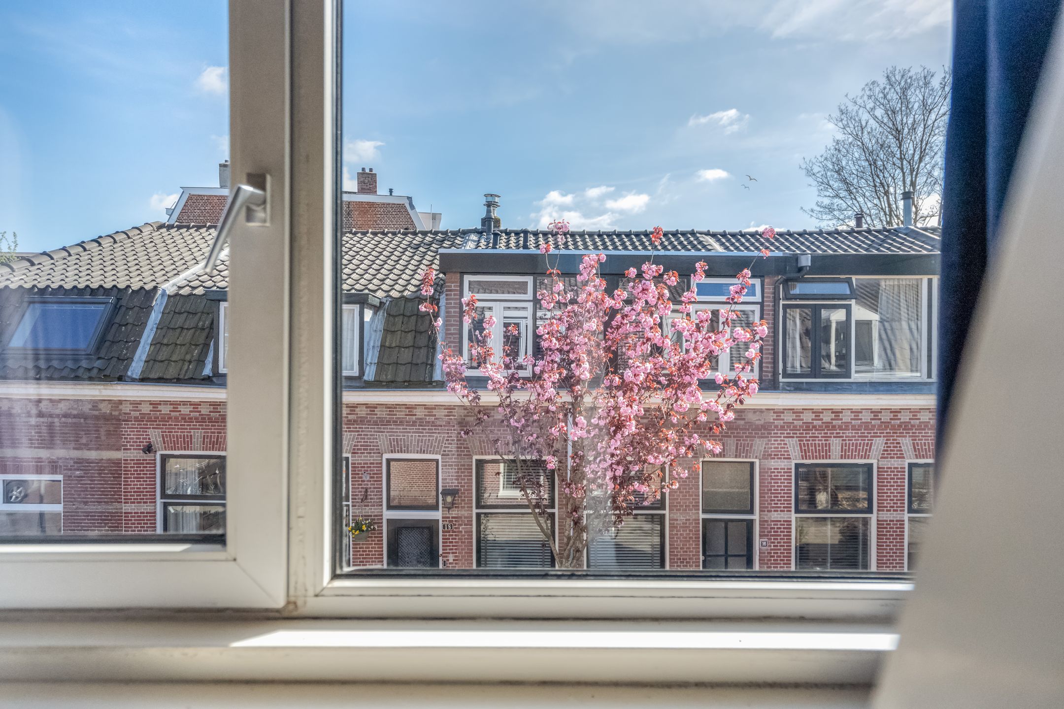 Photo 15 of Raamstraat 15