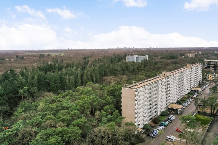 Foto 1 van Anna Paulownalaan 172