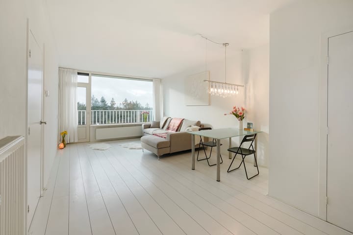 Foto 6 van Anna Paulownalaan 172