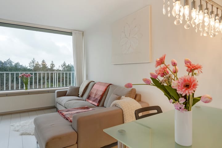 Foto 8 van Anna Paulownalaan 172