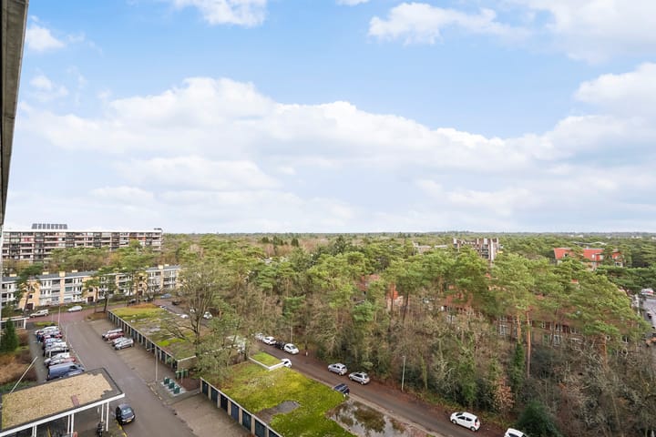 Foto 10 van Anna Paulownalaan 172