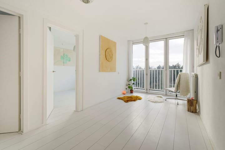 Foto 12 van Anna Paulownalaan 172