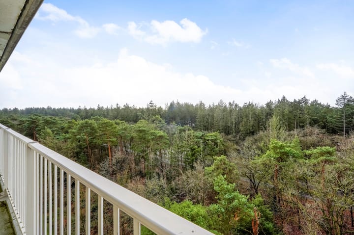 Foto 16 van Anna Paulownalaan 172