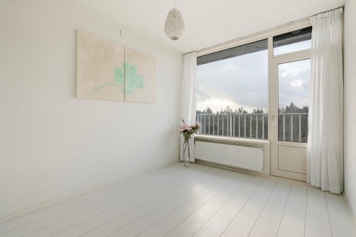 Foto 19 van Anna Paulownalaan 172