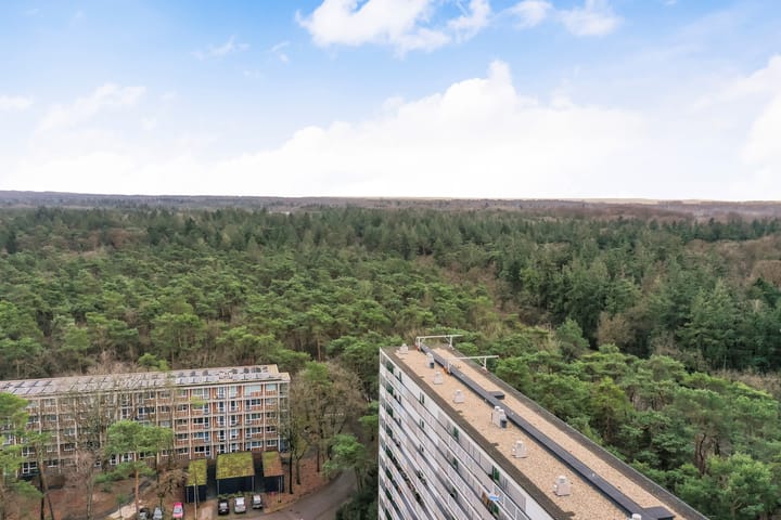 Foto 29 van Anna Paulownalaan 172