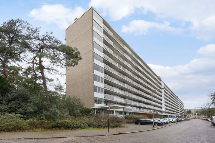 Foto 34 van Anna Paulownalaan 172