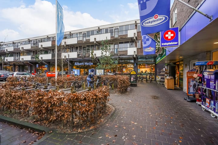 Foto 36 van Anna Paulownalaan 172