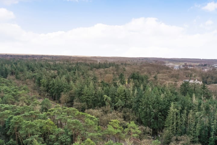 Foto 38 van Anna Paulownalaan 172