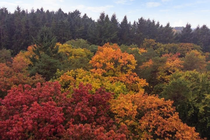 Foto 39 van Anna Paulownalaan 172