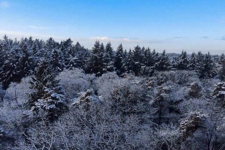 Foto 40 van Anna Paulownalaan 172