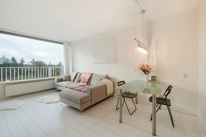 Foto 9 van Anna Paulownalaan 172