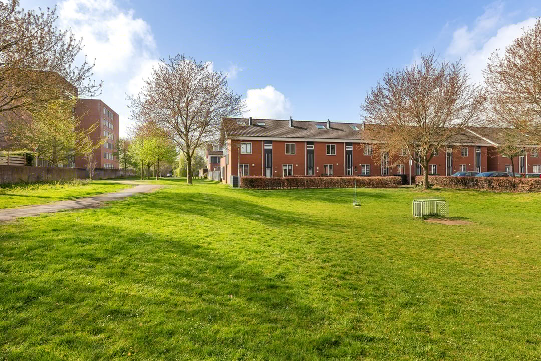 Foto 1 van Bultkroos 70