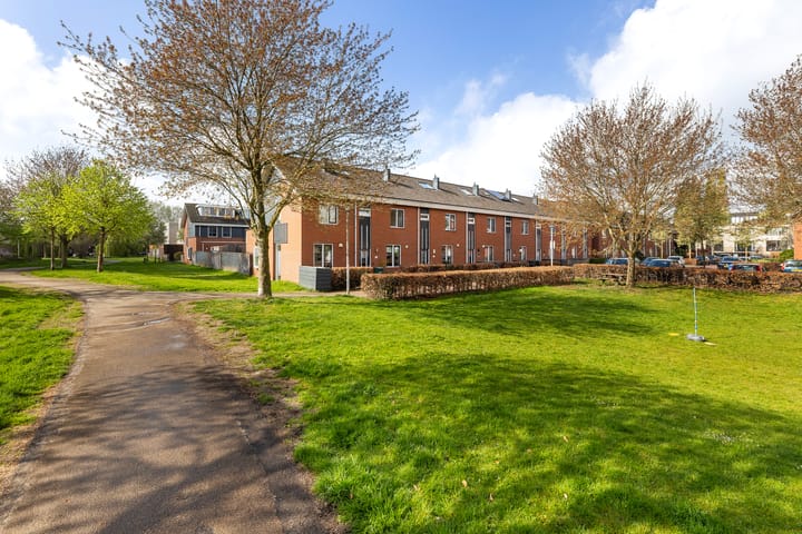 Foto 2 van Bultkroos 70