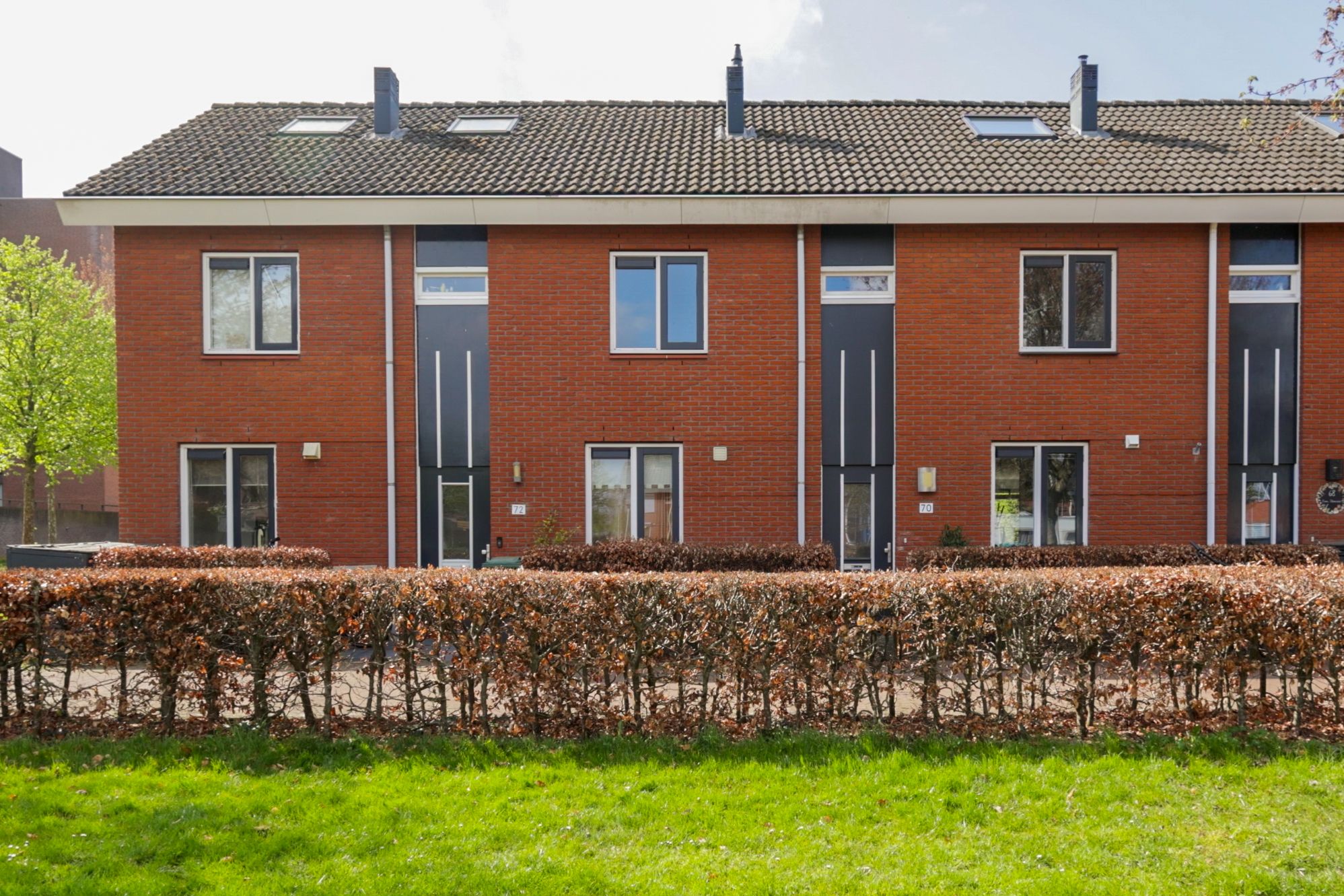 Foto 3 van Bultkroos 70