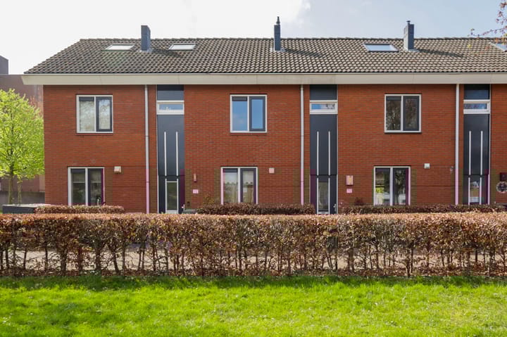 Foto 3 van Bultkroos 70