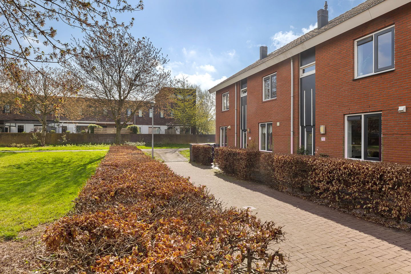 Foto 4 van Bultkroos 70