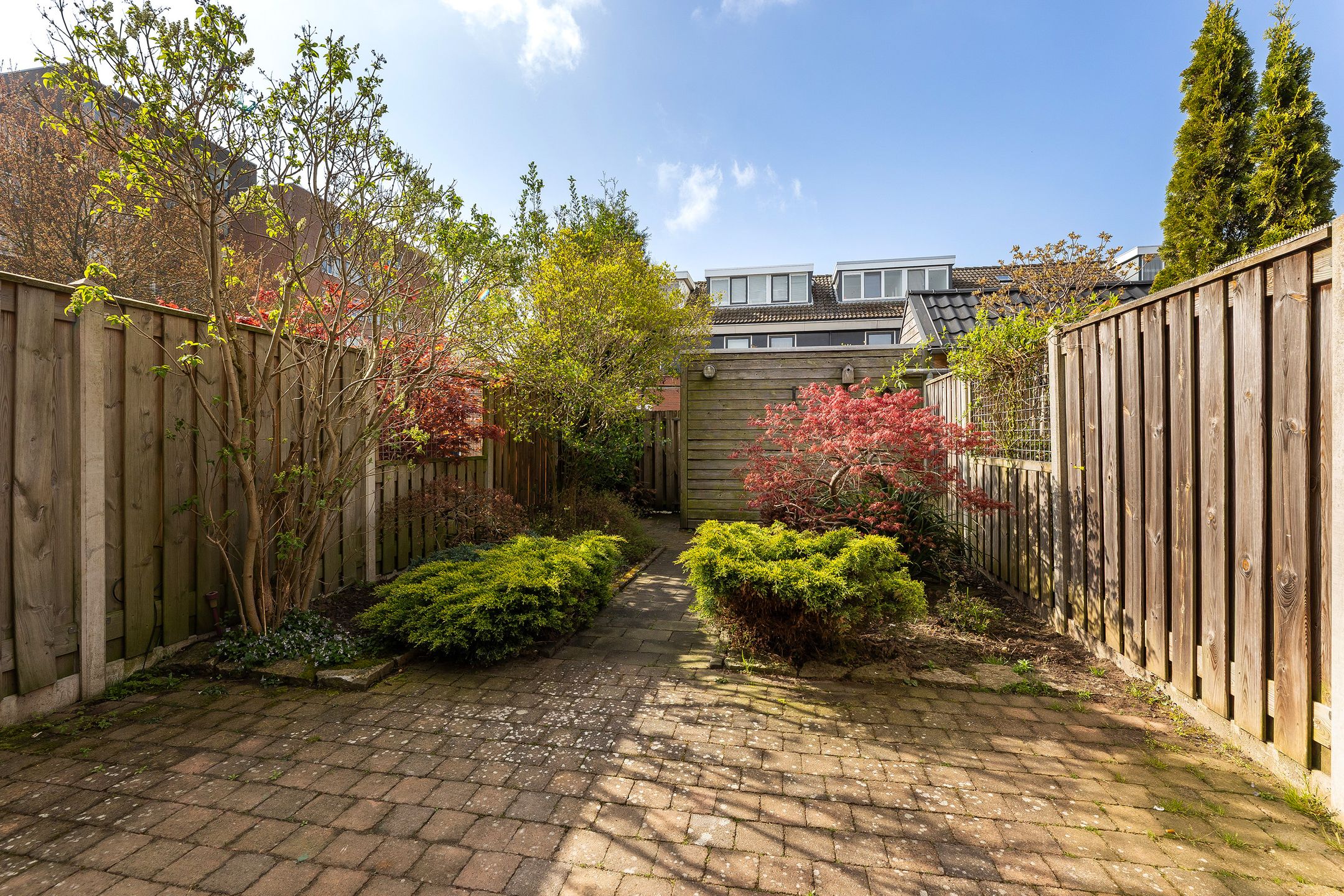 Foto 21 van Bultkroos 70