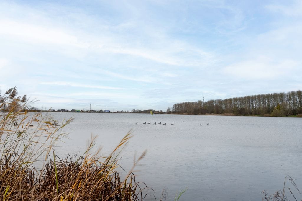 Foto 25 van Bultkroos 70