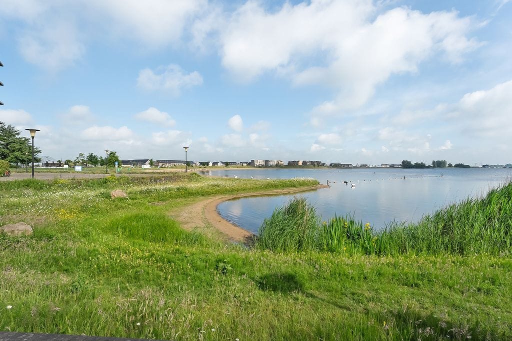 Foto 24 van Bultkroos 70