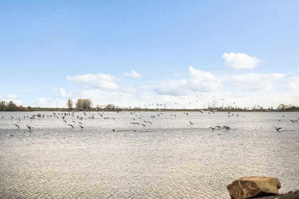 Foto 27 van Bultkroos 70