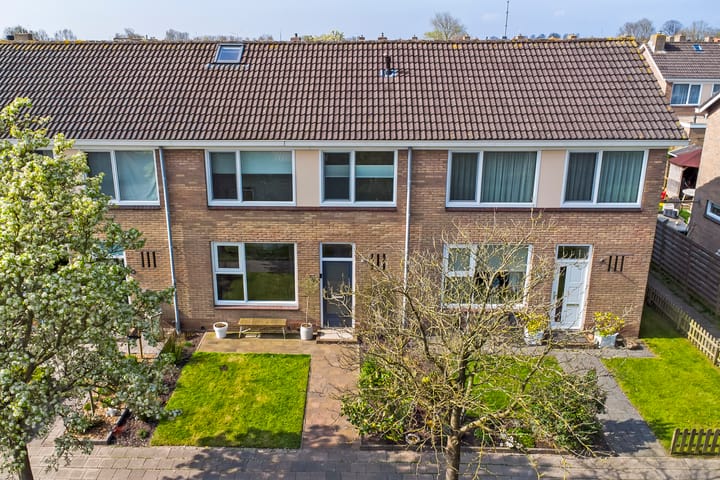 Foto 1 van Tettingburren 22