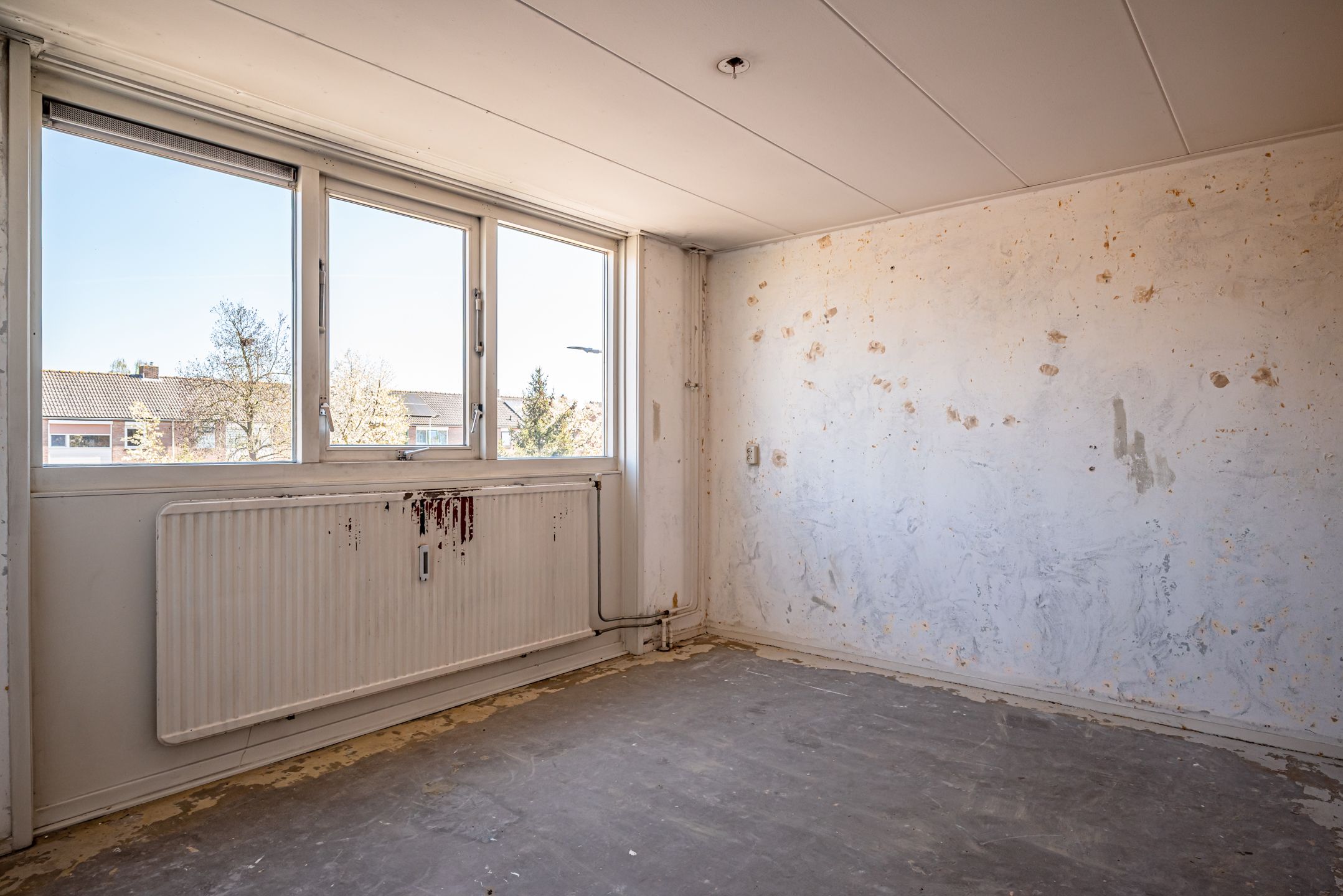 Foto 21 van Badinckstraat 17