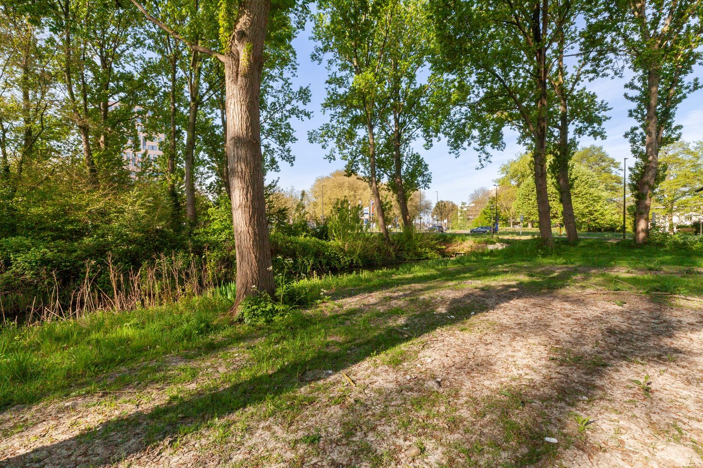 Foto 19 van van der Duyn van Maasdamlaan 96-A