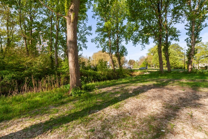 Foto 19 van van der Duyn van Maasdamlaan 96-A