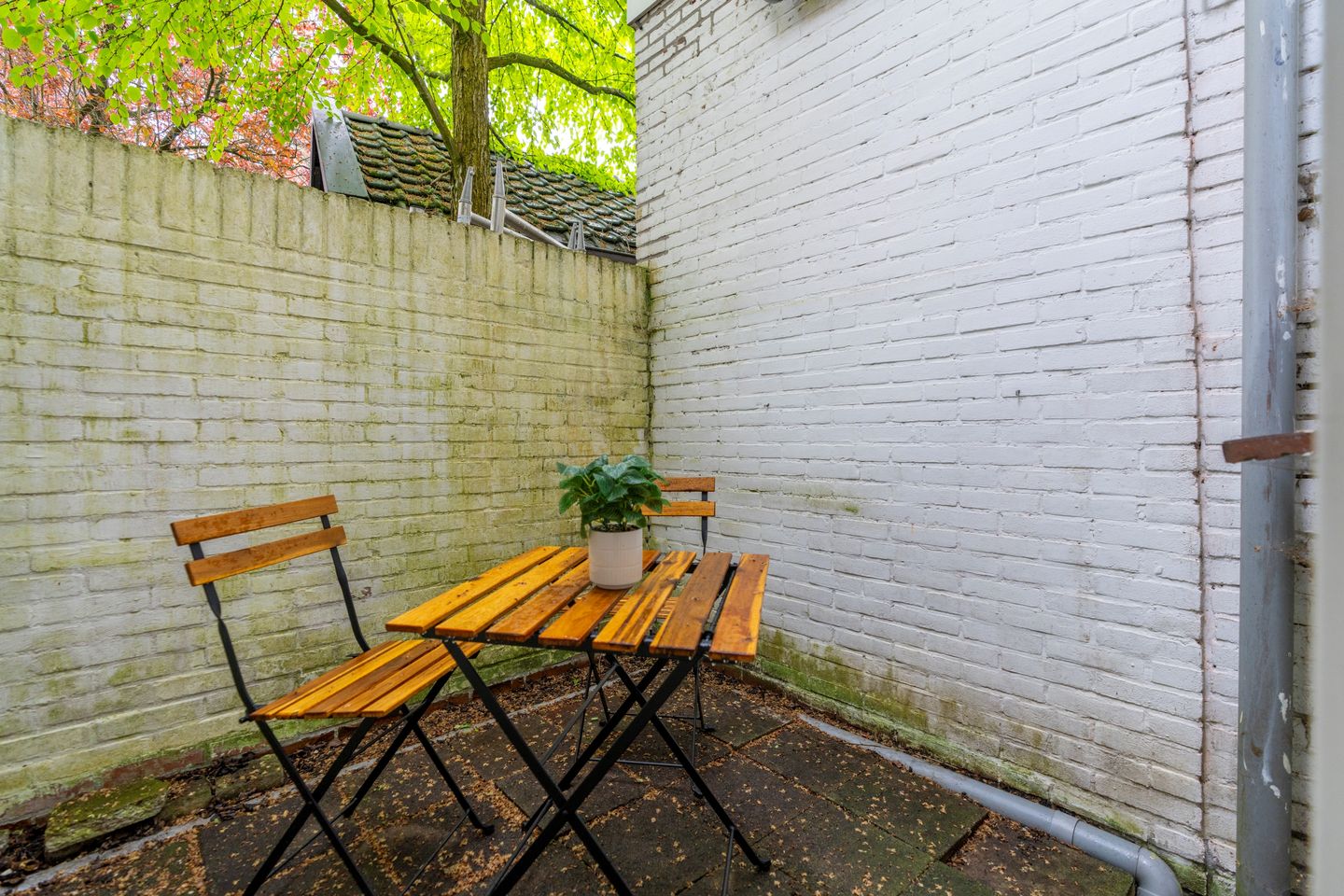 Foto 20 van Hopakker 7