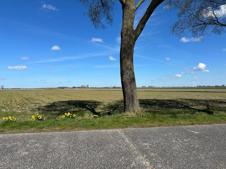 Foto 48 van Gruytsweg 46