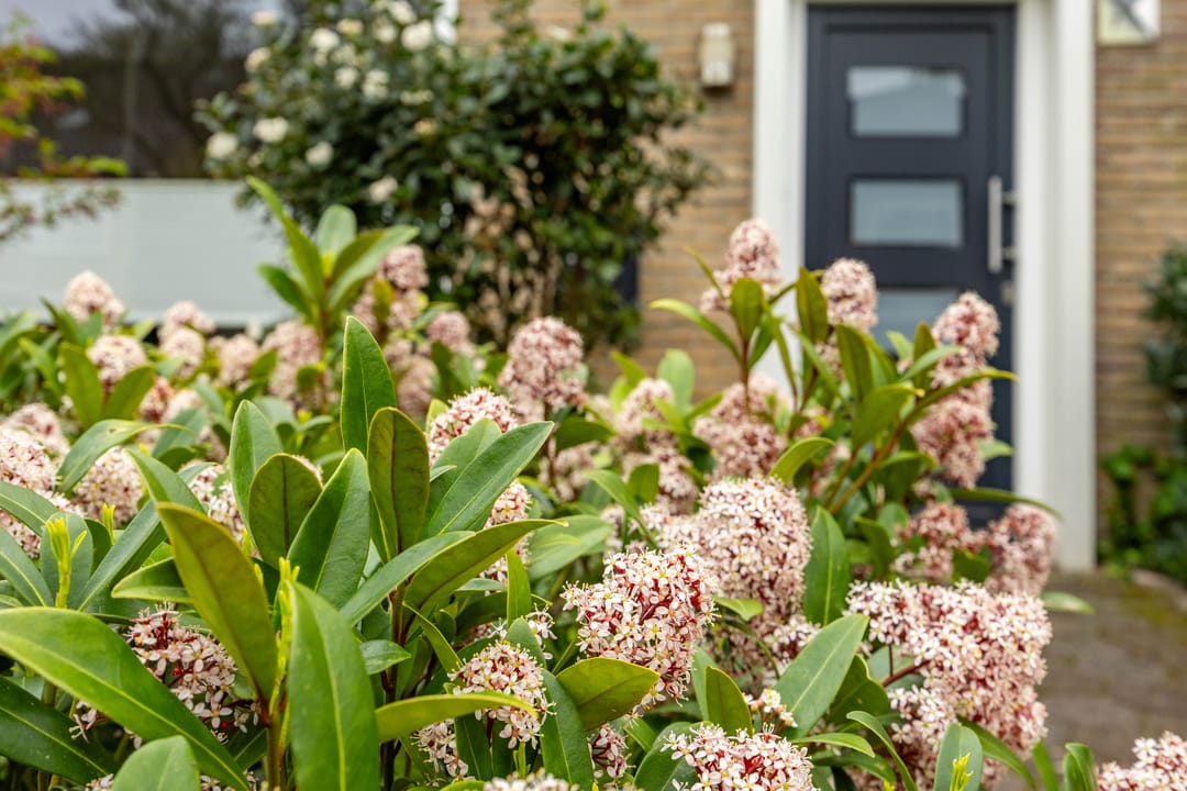 Foto 8 van Händellaan 7