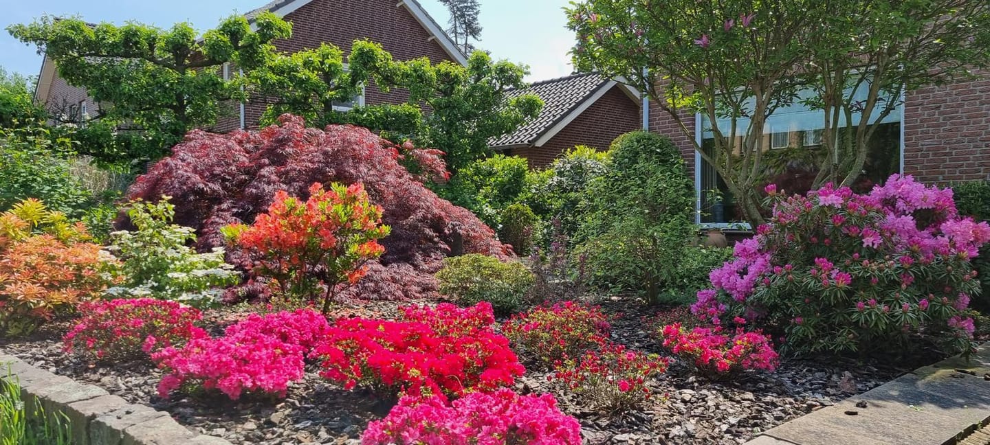 Foto 4 van Sprokkelveld 37