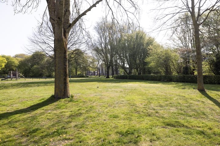 Foto 52 van Roosterbos 66