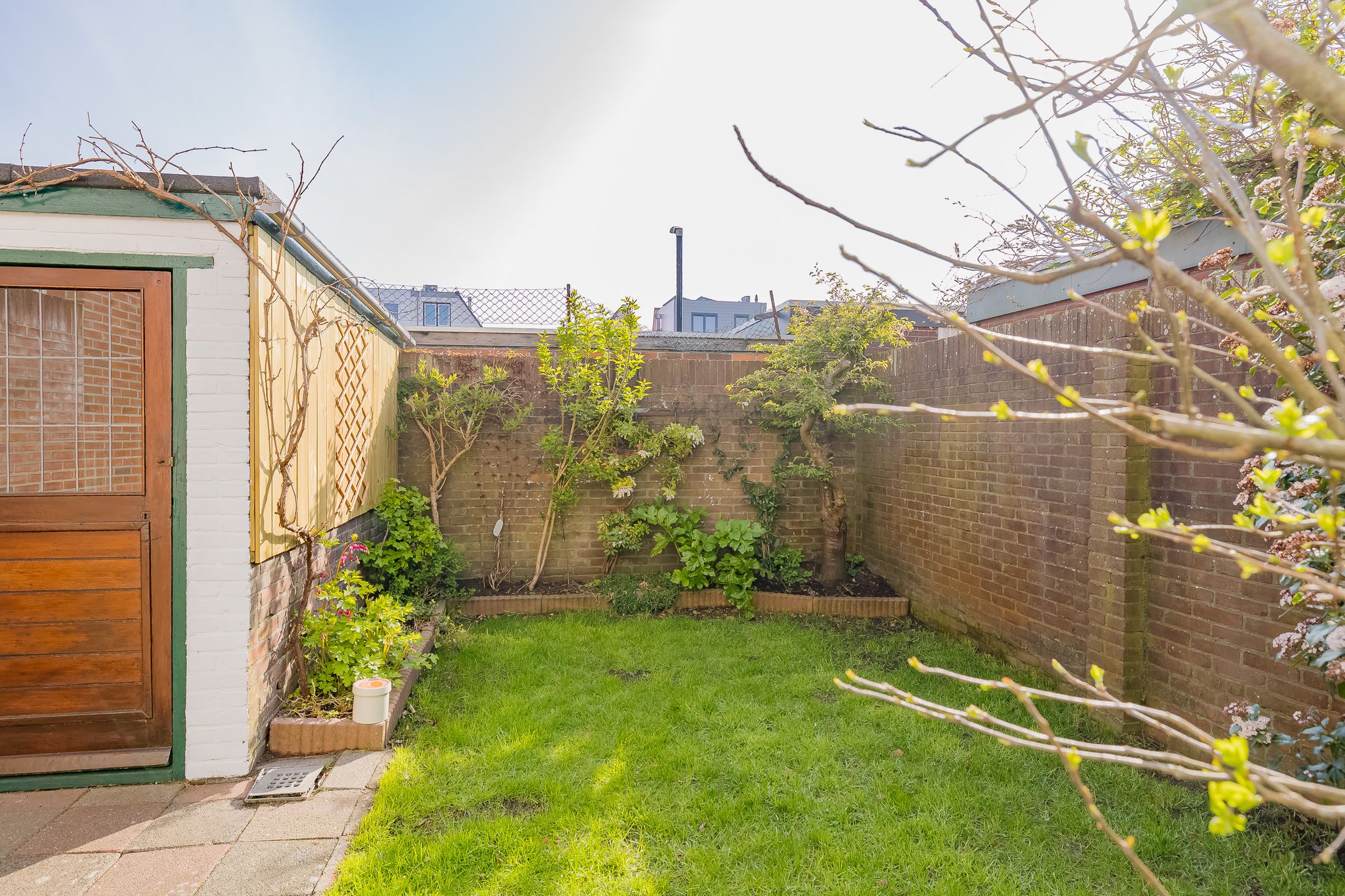 Foto 15 van Iepenstraat 9