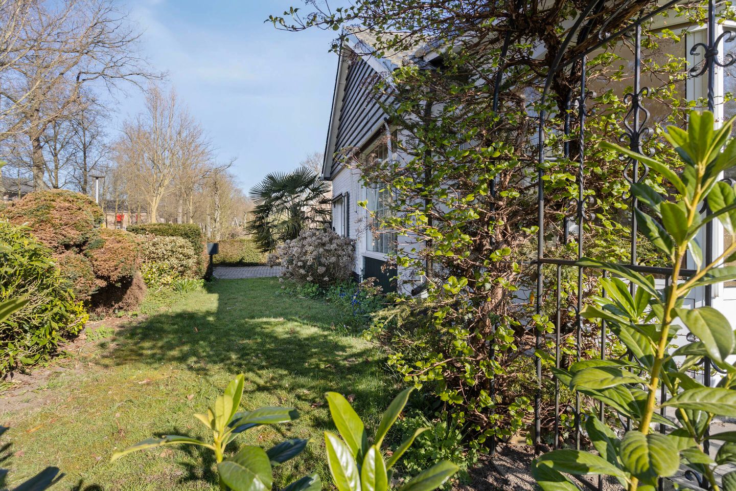 Foto 35 van Nijhofslaan 11